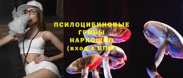 гидра Аркадак