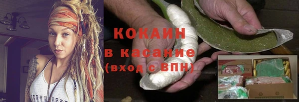 гидра Аркадак
