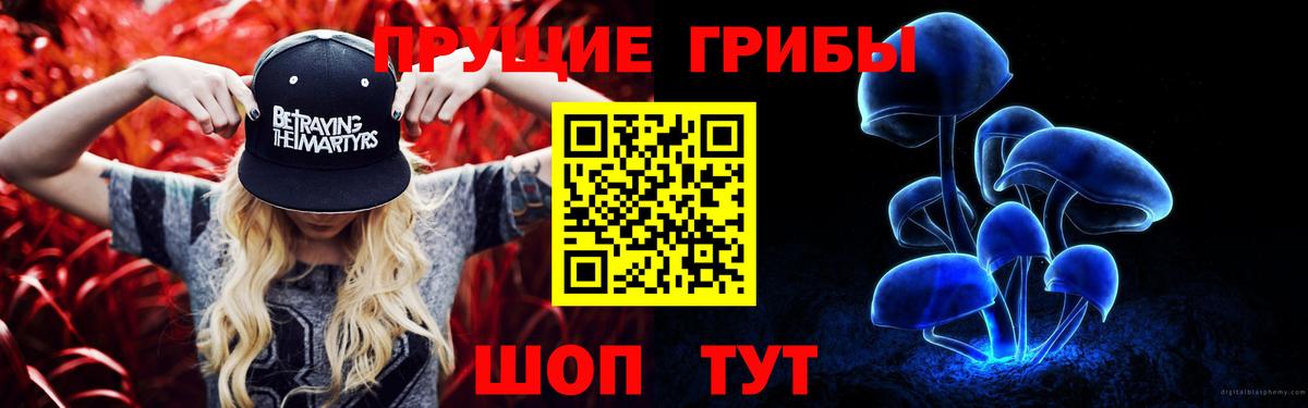 Галлюциногенные грибы прущие грибы Новороссийск
